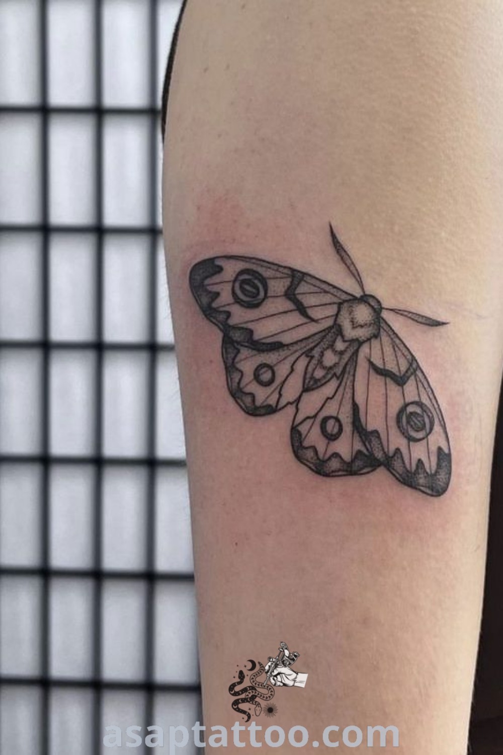 Realistic moth tattoo design on the left upper and lower arm, featuring black and white details. This elegant tattoo is a must-see for those who appreciate cute and artistic moth designs. Explore more ideas at asaptattoo.com.