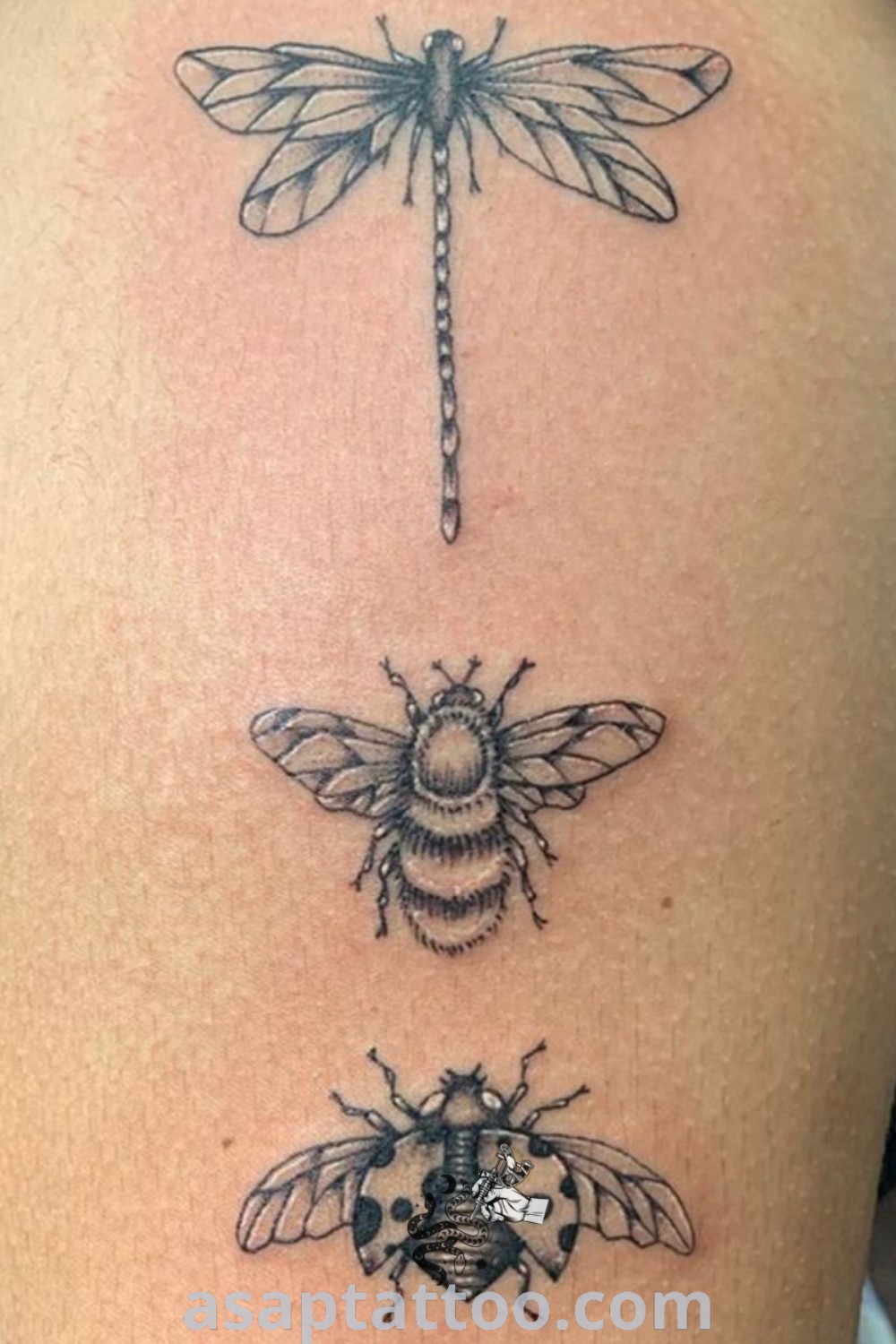 Three exquisite insect tattoos on the back of a woman