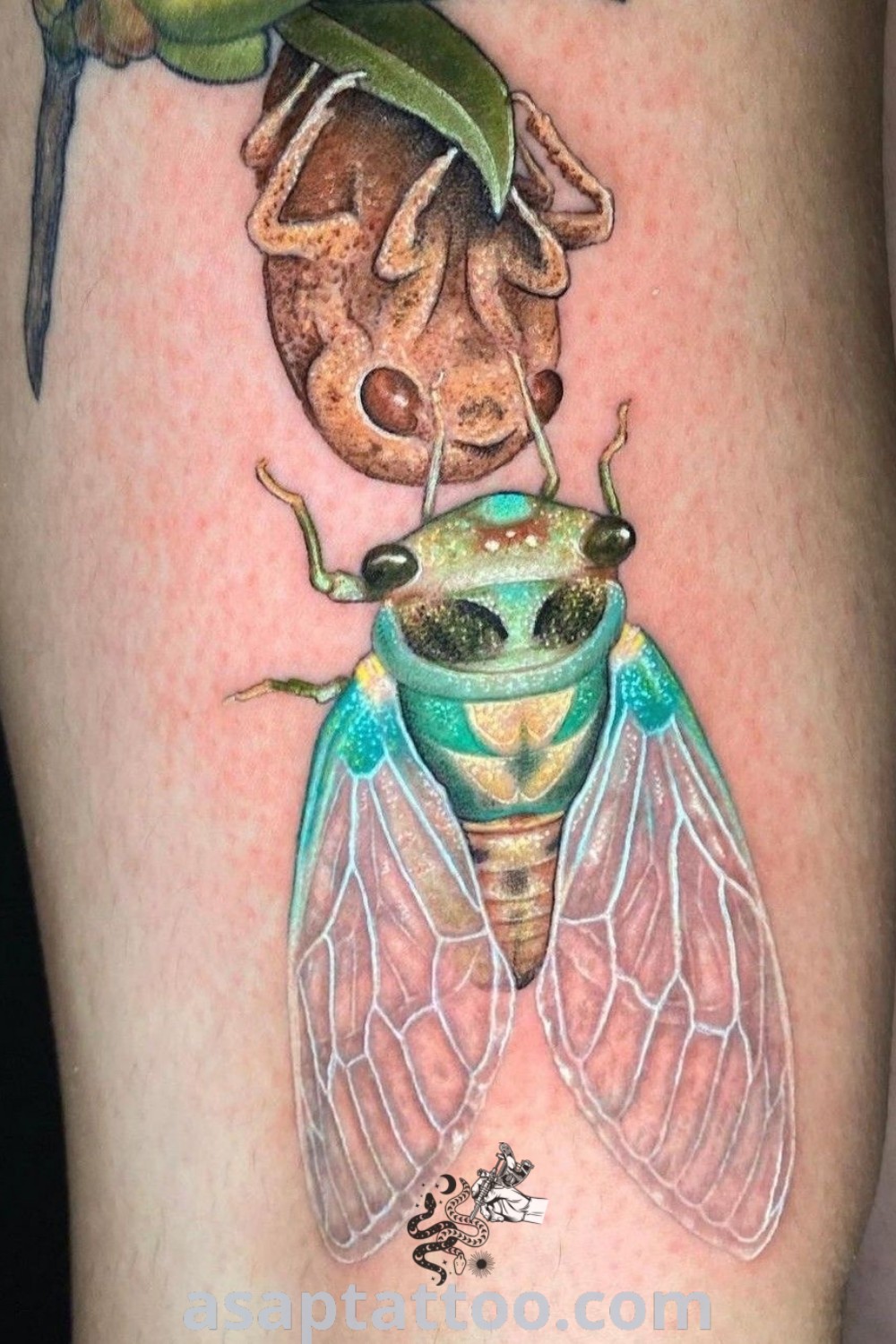A close-up of a person’s leg showcasing a realistic bug tattoo featuring intricate details and vibrant colors, ideal for anyone seeking traditional tattoo inspiration and ideas to inspire you. Find unique designs at asaptattoo.com.