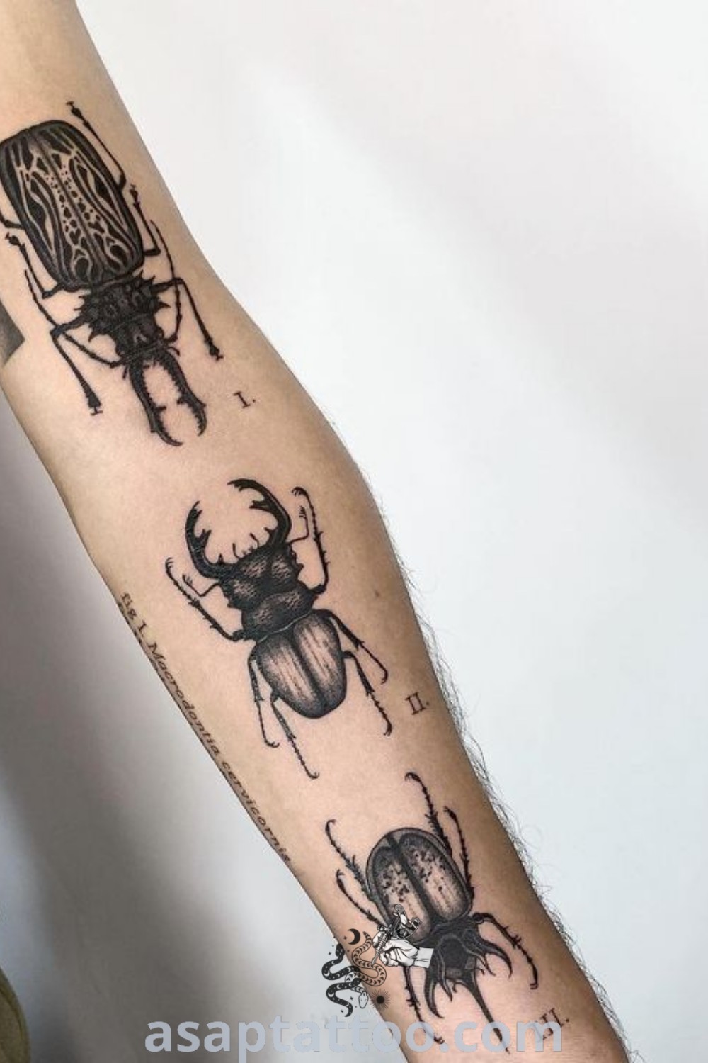 Unique biology tattoo featuring a man