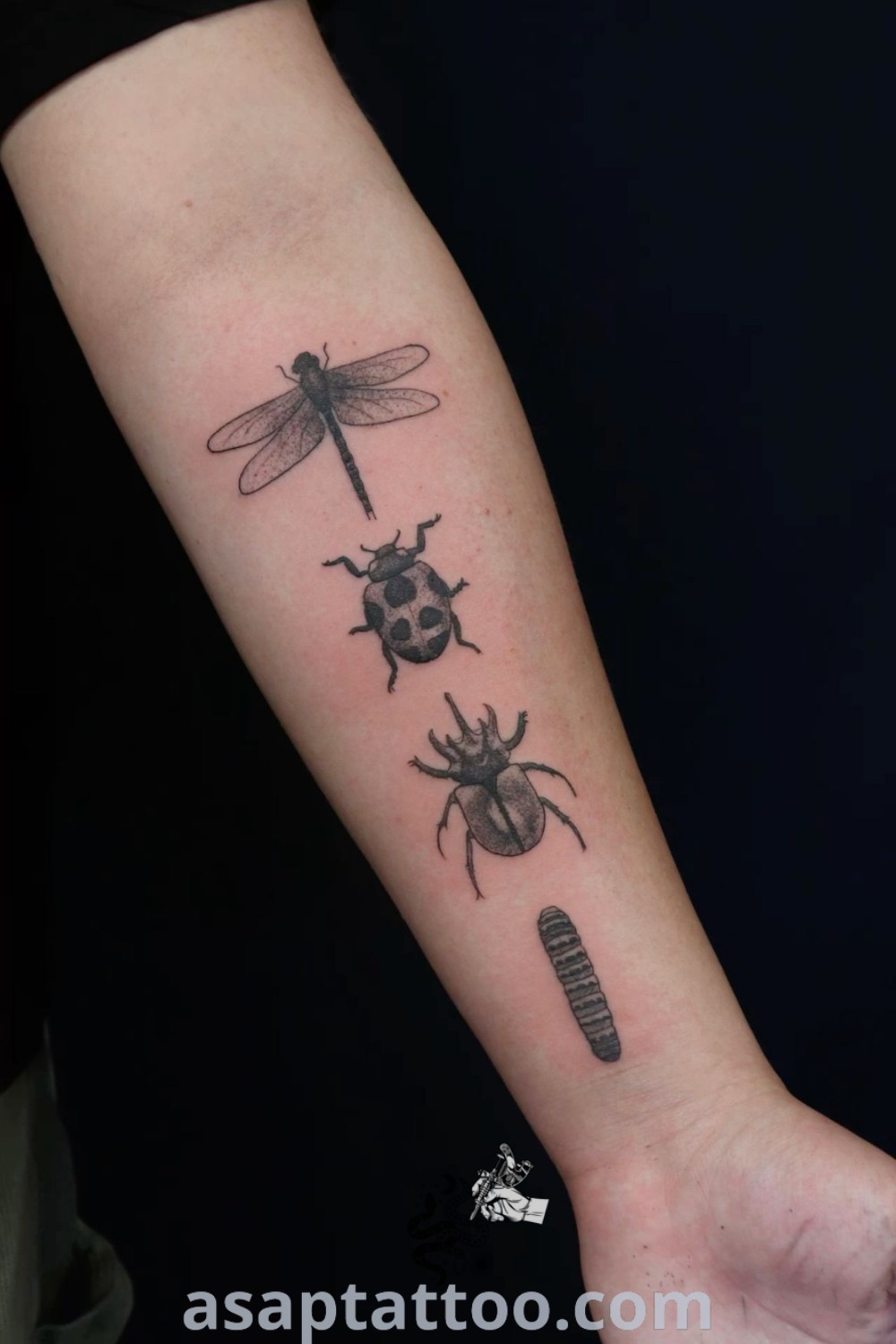 A stunning black and white bug sleeve tattoo showcasing an insect spine tattoo, including designs like a tattoo caterpillar and matching bug tattoos. An artistic masterpiece for those seeking amazing tattoo ideas. Explore more at asaptattoo.com.