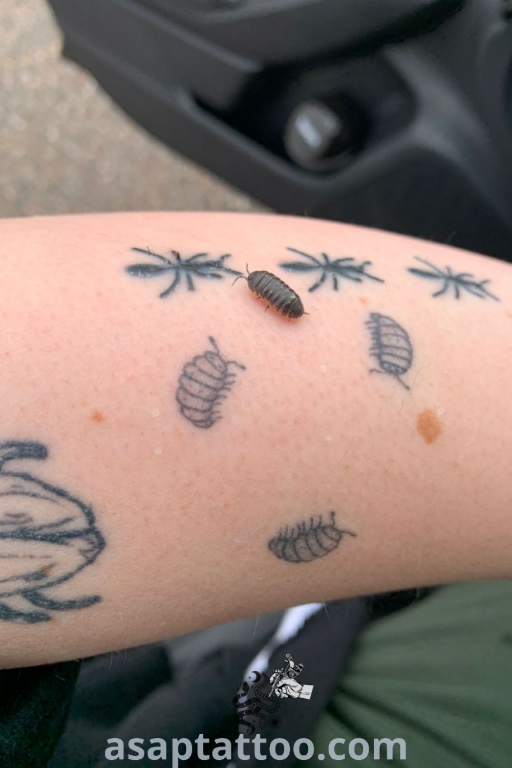 Charming roly poly tattoo design featuring a small isopod alongside a trio of roly polies. A perfect inspiration for matching guy tattoos and whimsical designs. Discover more amazing tattoo ideas at asaptattoo.com.