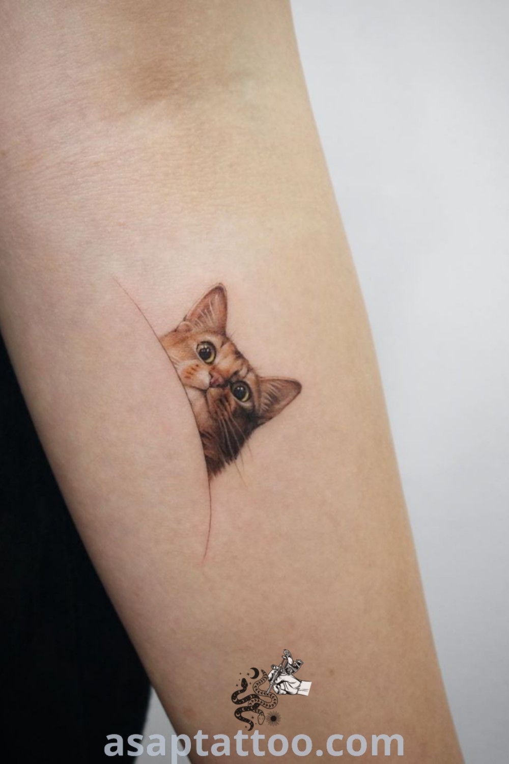Small cat tattoo on the left inner arm and shoulder with an orange kitten peeking out. This gorgeous piece reflects inspiring cat rescue themes and offers amazing ideas for cat tattoos, perfect for every cat lover. For more unique tattoos, visit asaptattoo.com.