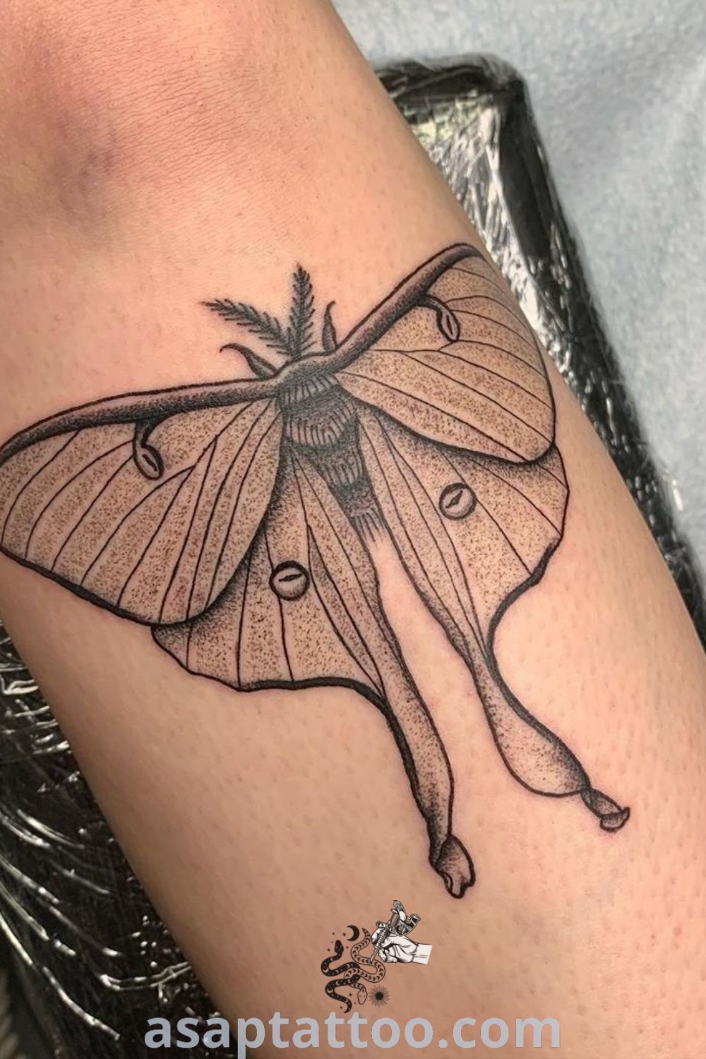 Black and white photo of an elegant moth tattoo symbolizing depth and meaning, perfect for tattoo lovers looking for gorgeous tattoo ideas. Explore moth tattoos and their symbolism at asaptattoo.com.