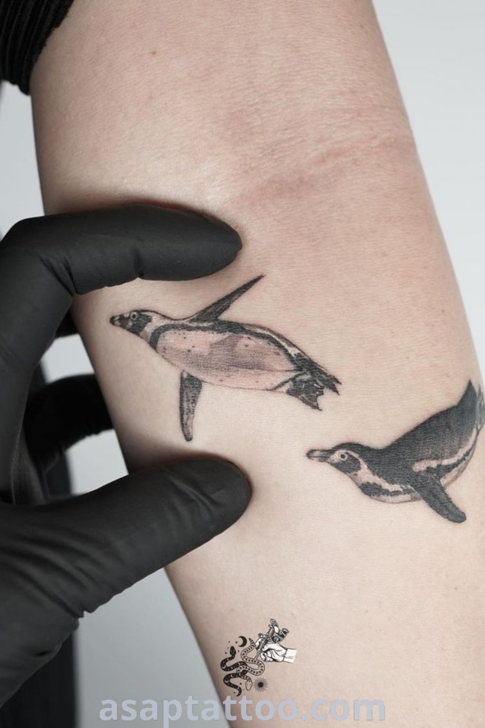 Charming penguin swimming tattoo featuring various styles including macaroni and gentoo penguins, showcasing cute and elegant designs. A must-see tattoo for those looking to decorate their body with meaning. Explore more at asaptattoo.com.