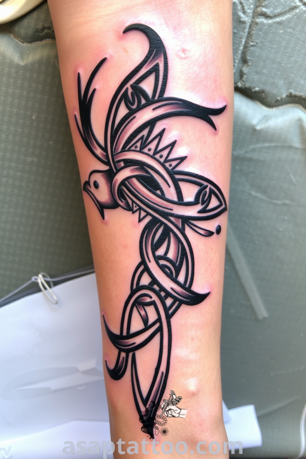 Celtic bird tattoo on the forearm featuring interlacing knots and flowing feathers in deep black ink, symbolizing freedom and spirituality. A gorgeous tattoo idea you must see, highlighting heritage and nature. asaptattoo.com