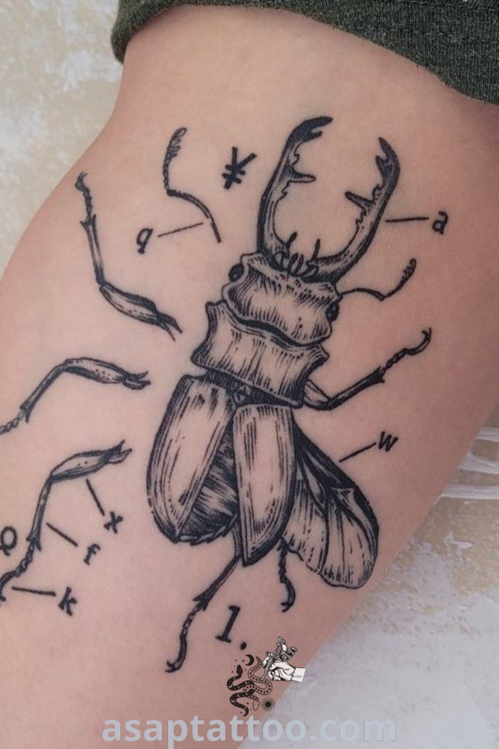 A beautiful black and white beetle tattoo on the side of a woman