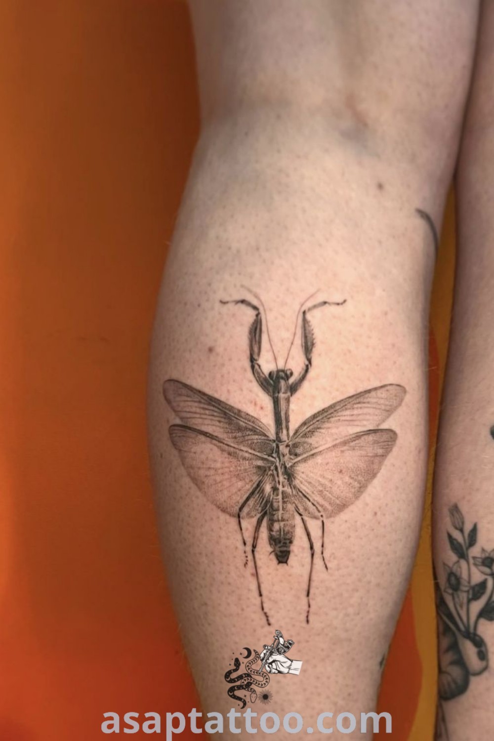 Leg tattoos featuring stunning realistic bug and butterfly designs in a single needle sleeve tattoo. An amazing artistic choice for those seeking gorgeous ink ideas. Find more inspiration at asaptattoo.com.
