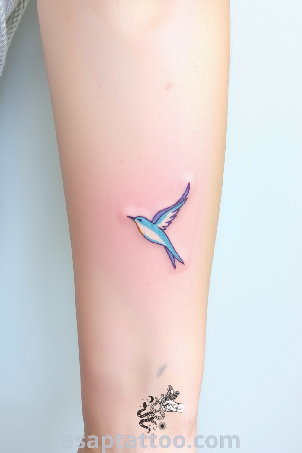 Pastel bird tattoo on inner arm with lavender, peach, and sky blue colors, showcasing fine linework and depth. A gorgeous tattoo to inspire you to get inked. asaptattoo.com