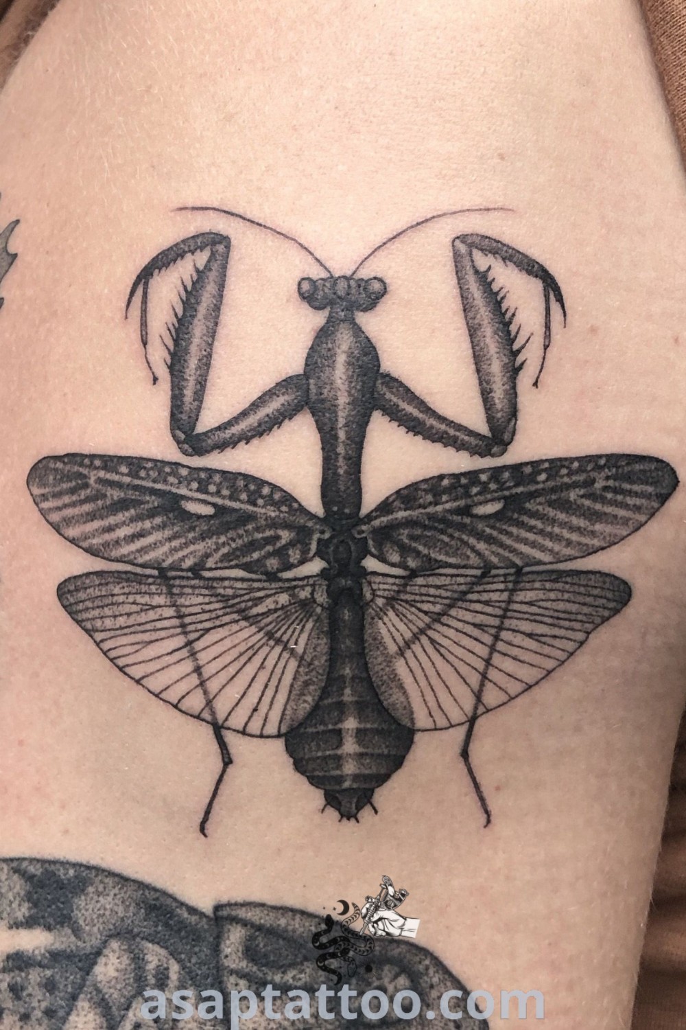 A striking insect and snake tattoo on the right arm with a black beetle tattoo, knee bug tattoo, and additional insects in the background. Discover the amazing design inspirations and ideas for tattoos you must see at asaptattoo.com.