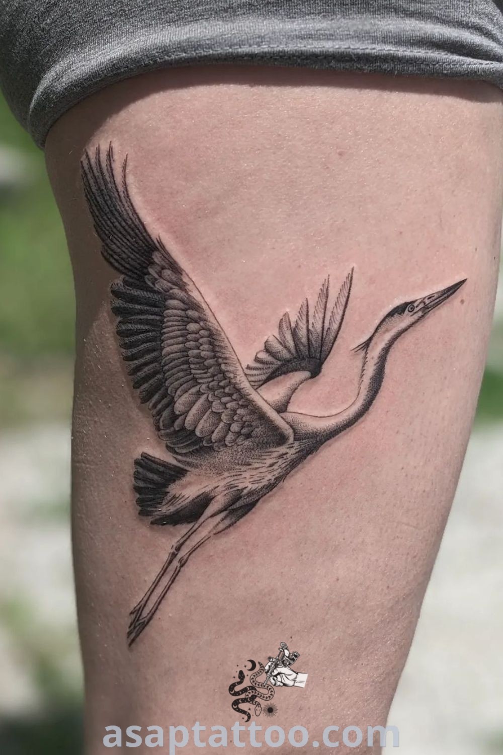 Elegant crane tattoo on woman