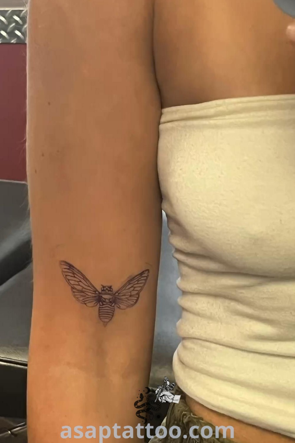 Cicada tattoo featuring elegant artistic elements, including small cicada and chrysalis designs, perfect for bicep placements and patchwork sleeves. Discover amazing tattoo ideas you will absolutely love at asaptattoo.com.