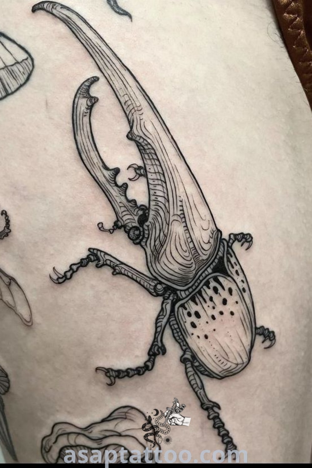 Close-up of a person