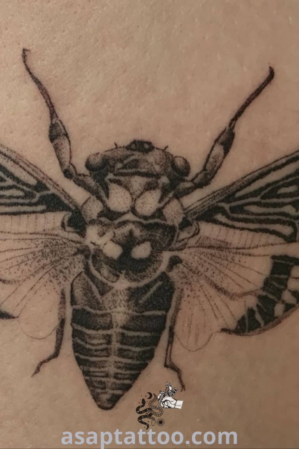 A black and white photo of a bee tattoo on the thigh, featuring a detailed cicada in its center. This cicada tattoo is a stunning example of nature-inspired body art, showcasing intricacy and beauty. Discover elegant tattoo ideas that will melt your heart at asaptattoo.com.