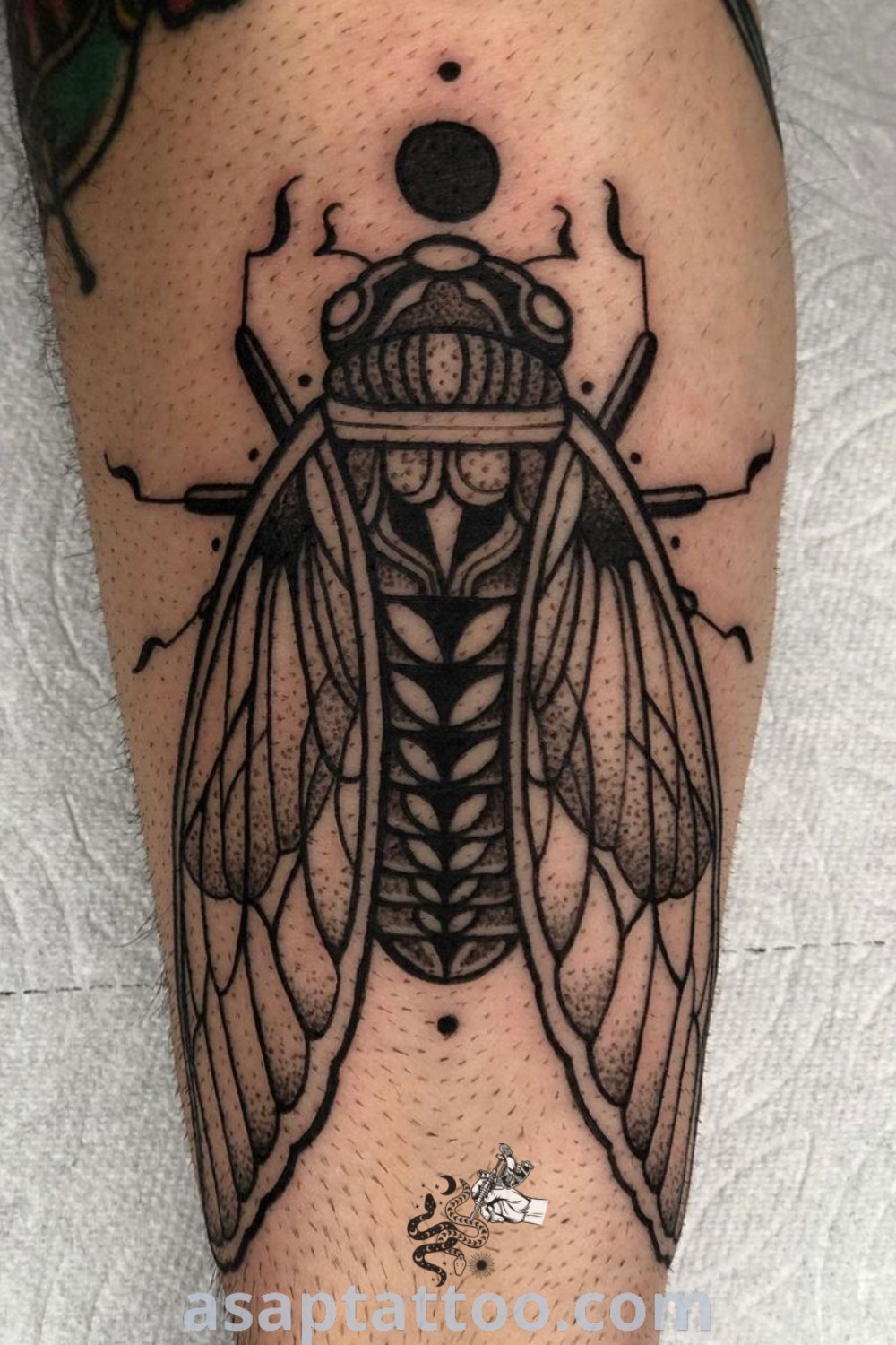 Black and white cicada tattoo on the leg of a man featuring traditional design elements. This amazing spooky bug tattoo showcases intricate artistry that