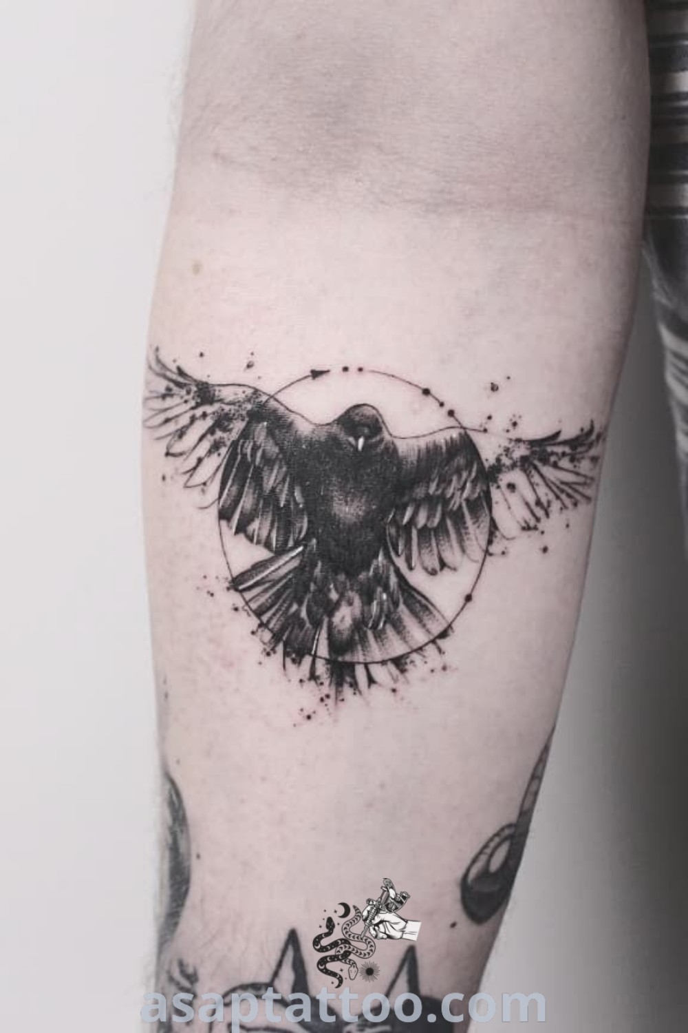 A black and white photo of a beautiful raven tattoo on the left upper half of the arm. This design features a feminine elegance, ideal for women considering Viking tattoos. Discover inspiring raven and crow tattoo ideas at asaptattoo.com.