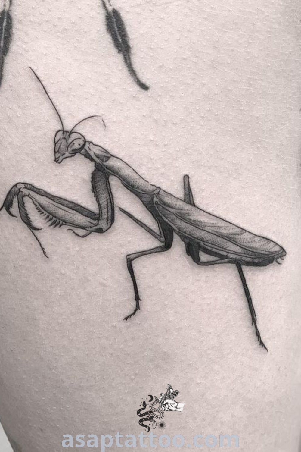 Close-up of a person