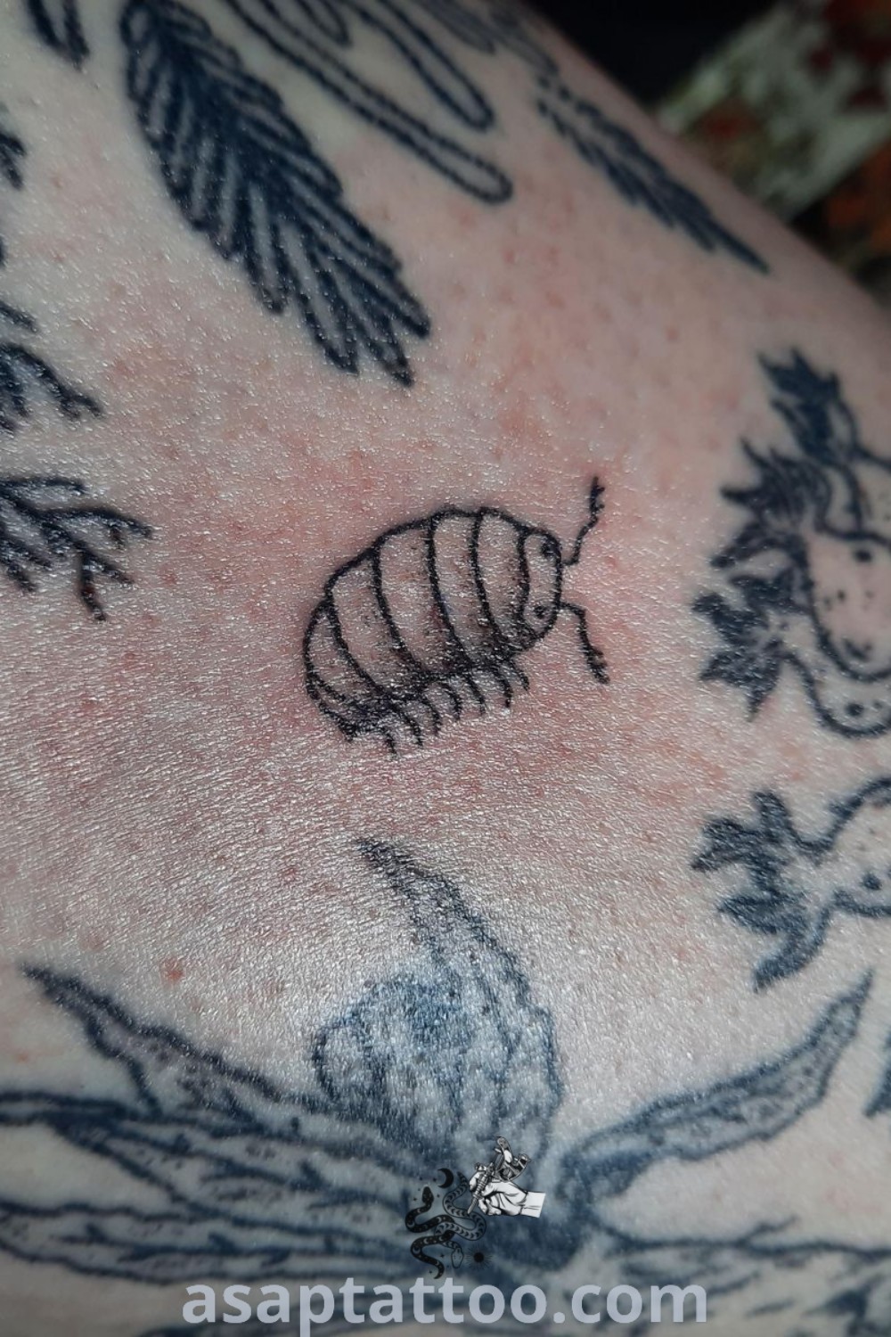 Close-up of a person