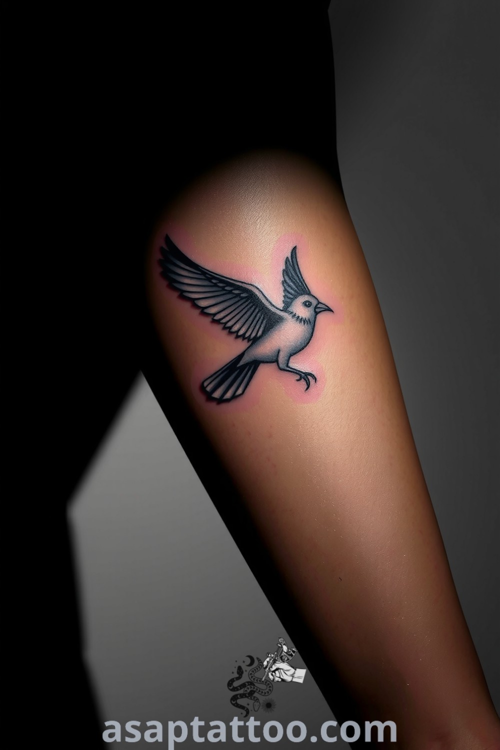Chiaroscuro bird tattoo with intricate linework and bold contrasts, featuring detailed feathers and a stunning gradient. An inspiring tattoo idea that captures freedom and grace. asaptattoo.com