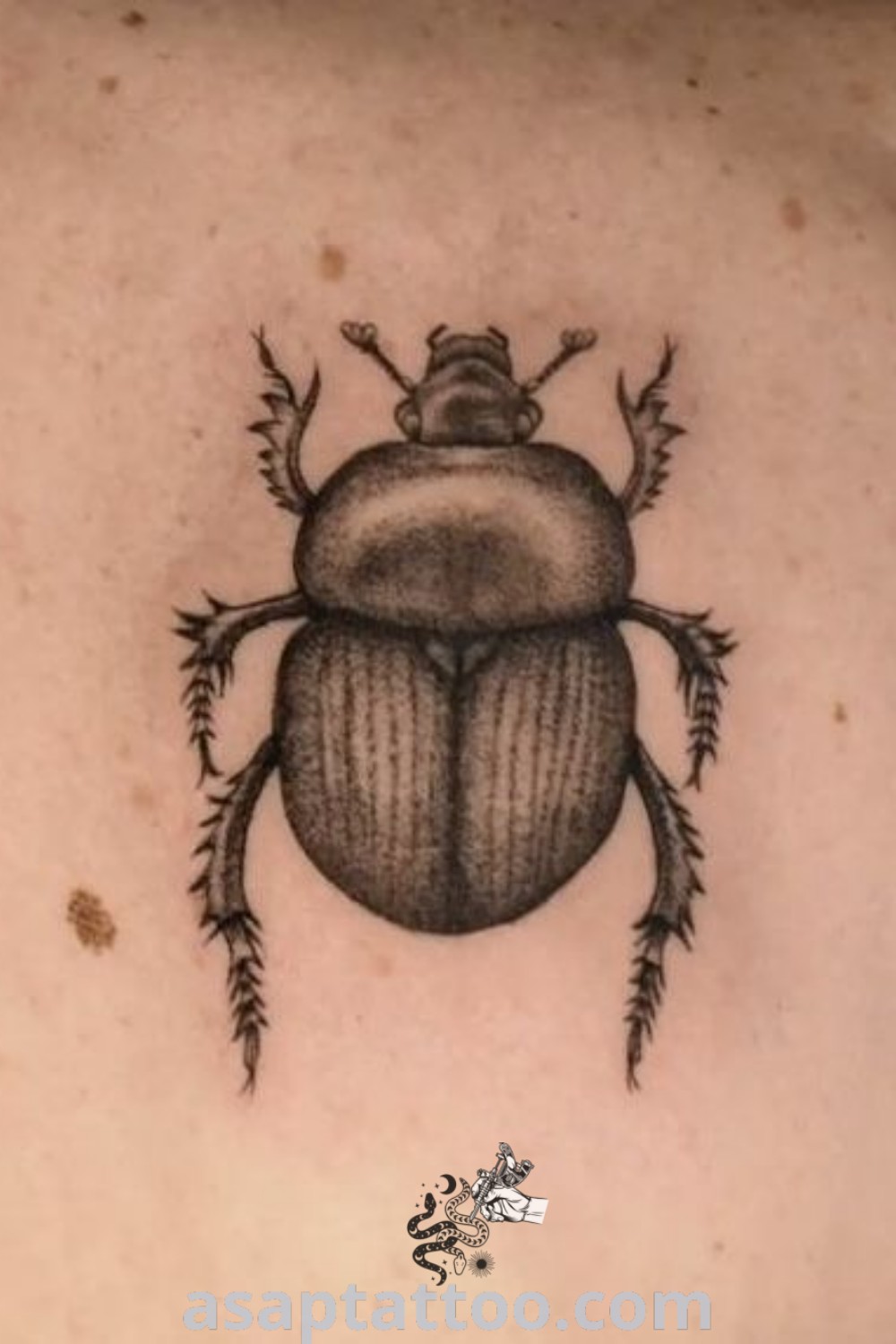 Elegant beetle tattoo on the back of a woman