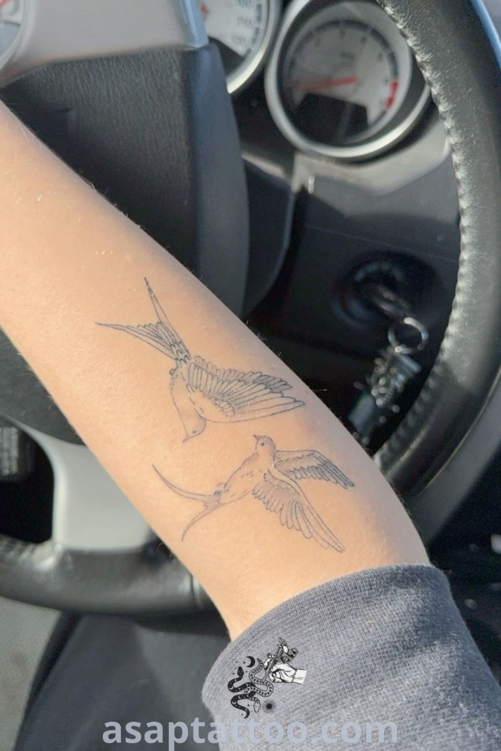 A blue jay bird tattoo featured on a person