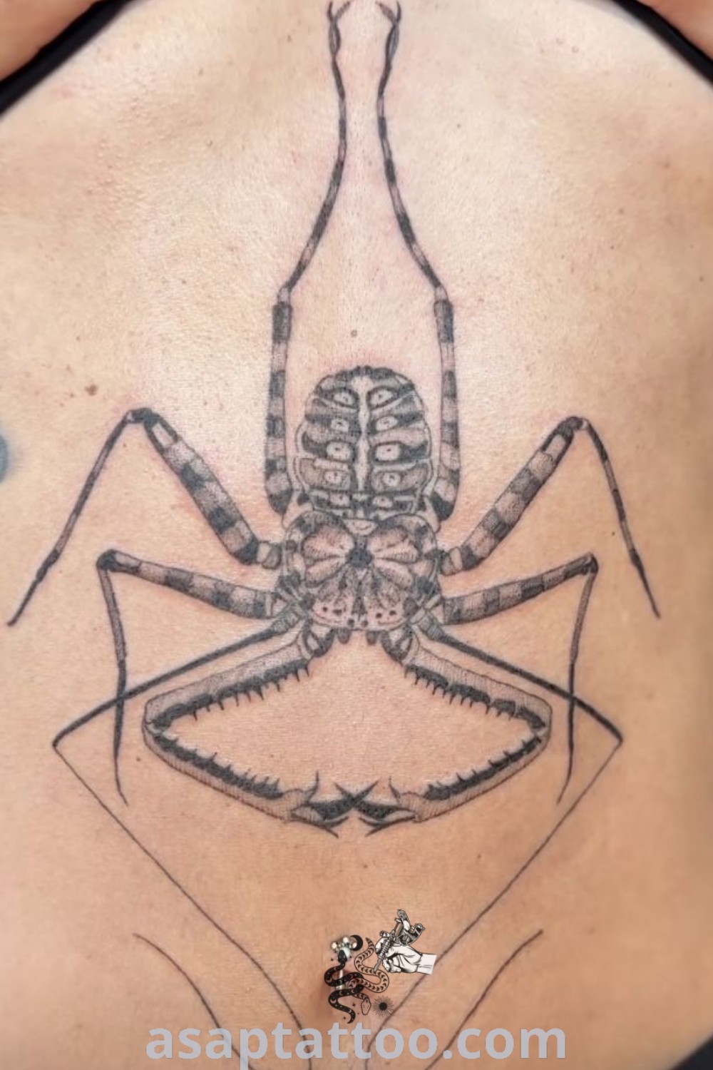 A close-up of a person