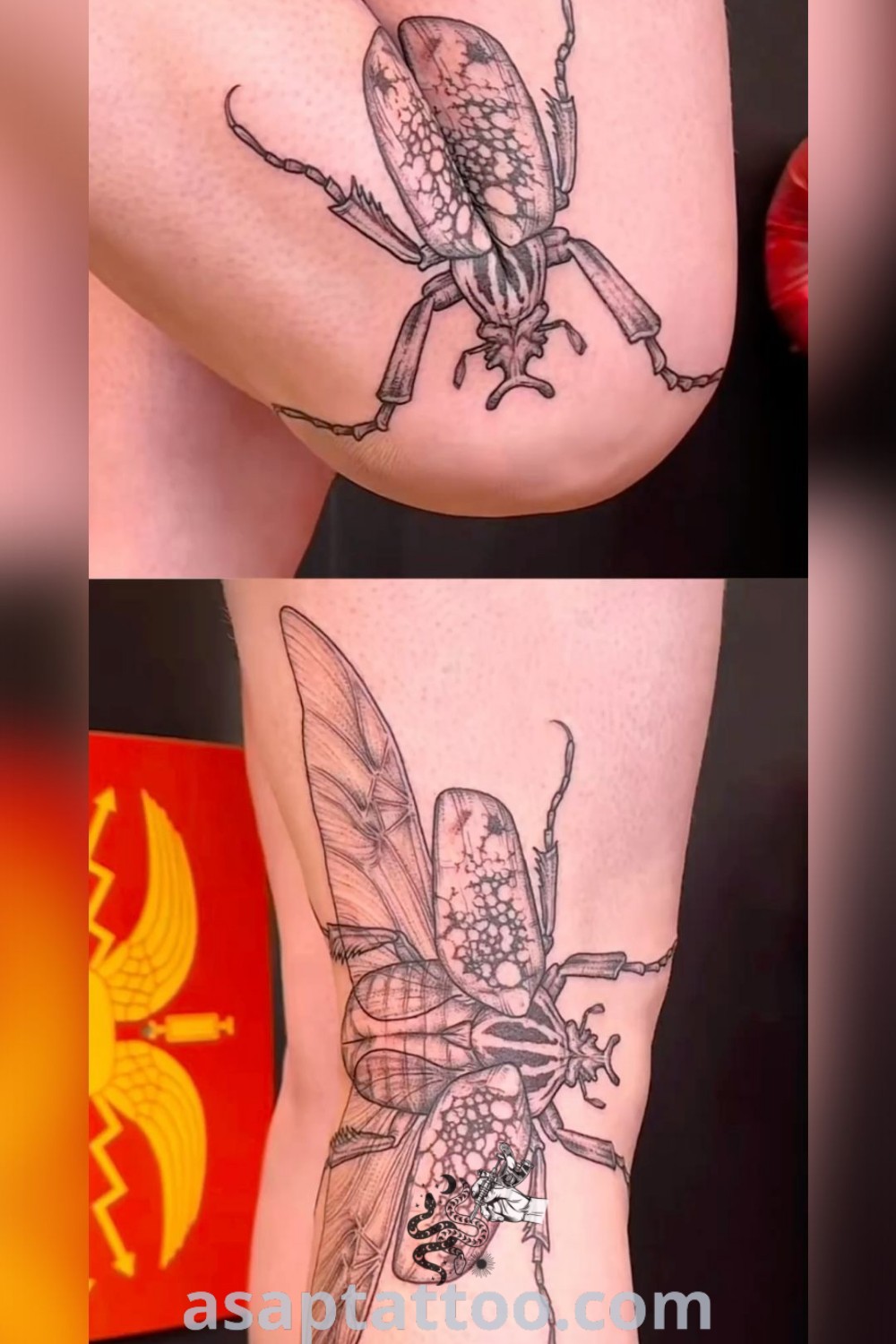 Three elegant tattoos on women