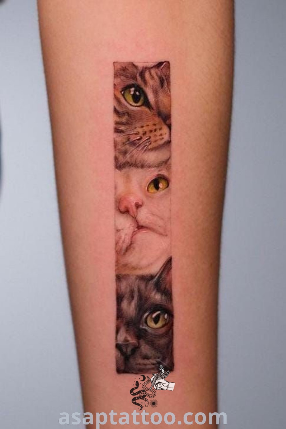 Cute cat tattoo with two cats on the left arm and one in the center, showcasing inspiring cat portrait tattoos. An elegant design perfect for pet lovers looking for the best tattoo ideas at asaptattoo.com.