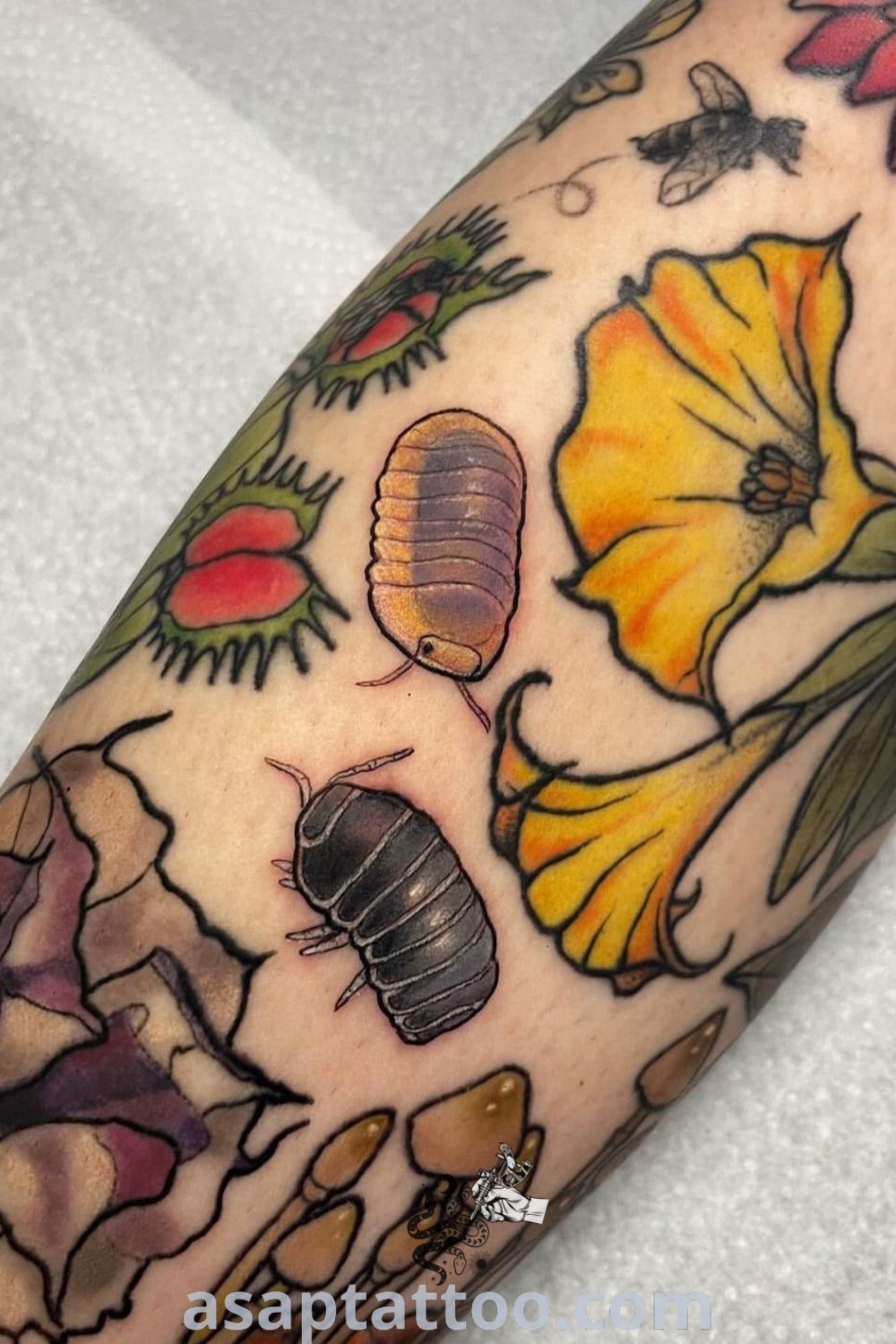 Close up of a person