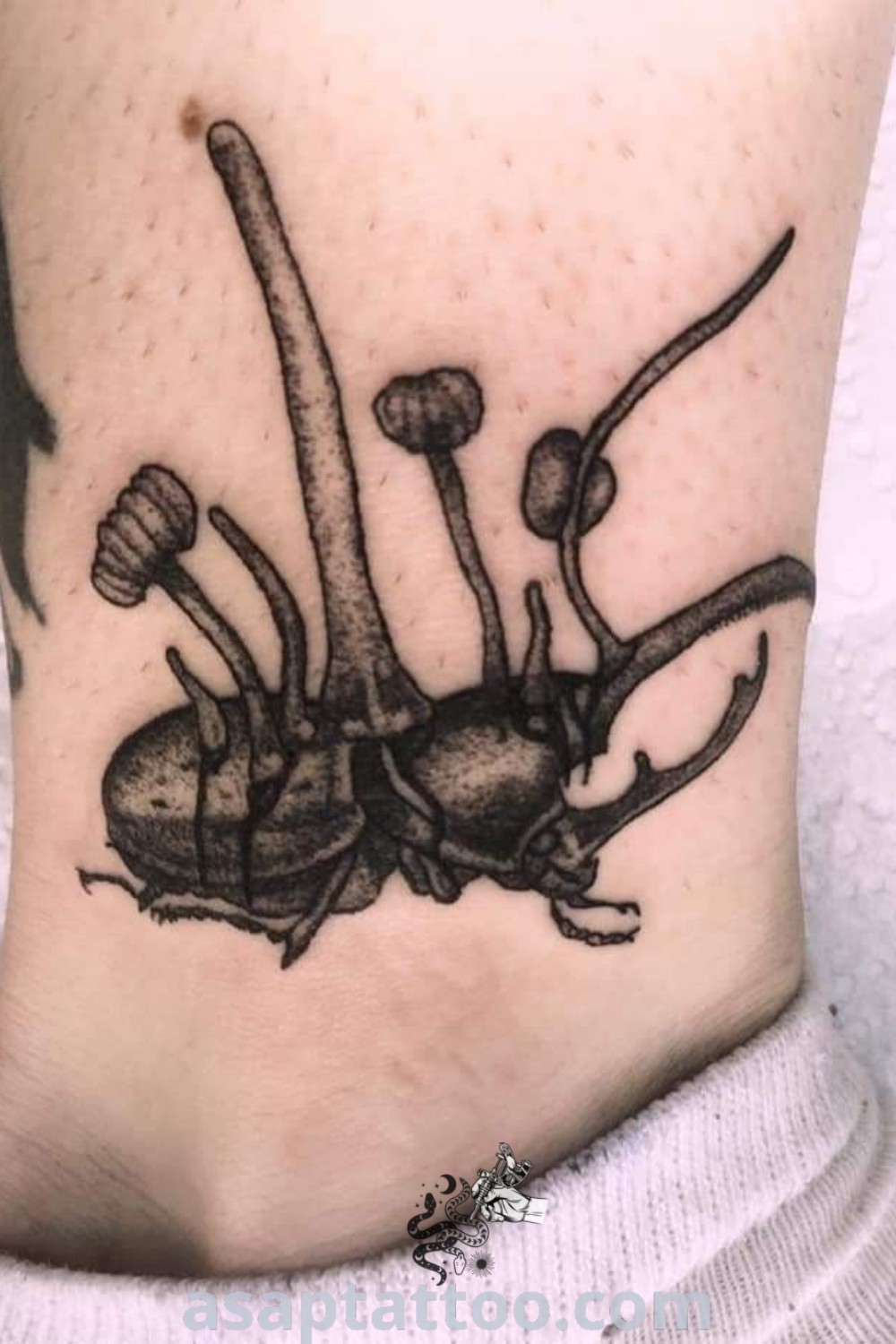 A beautiful black and white photo of a Cordyceps tattoo on the ankle, featuring intricate designs like Hercules beetle and millipede tattoos. An inspiring choice for those looking for unique tattoos to decorate their body with. Discover more amazing tattoo ideas at asaptattoo.com.