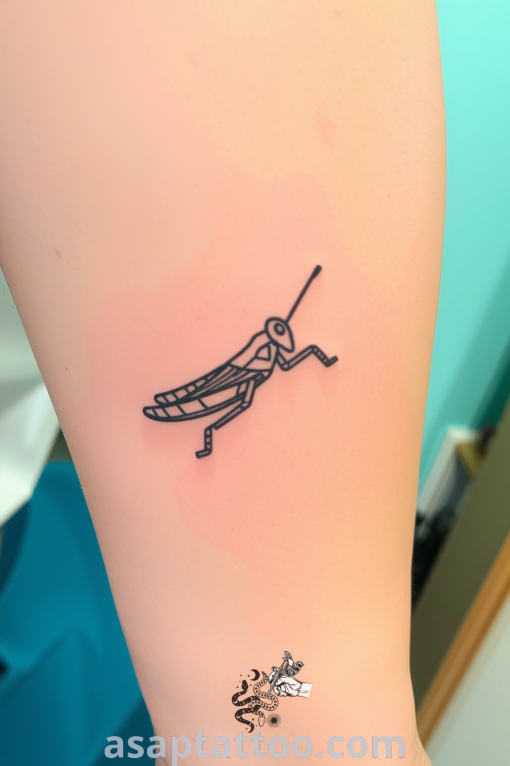 Ink sketch grasshopper tattoo with intricate linework and depth, showcasing delicate details on light skin. A gorgeous tattoo idea you will absolutely love. asaptattoo.com
