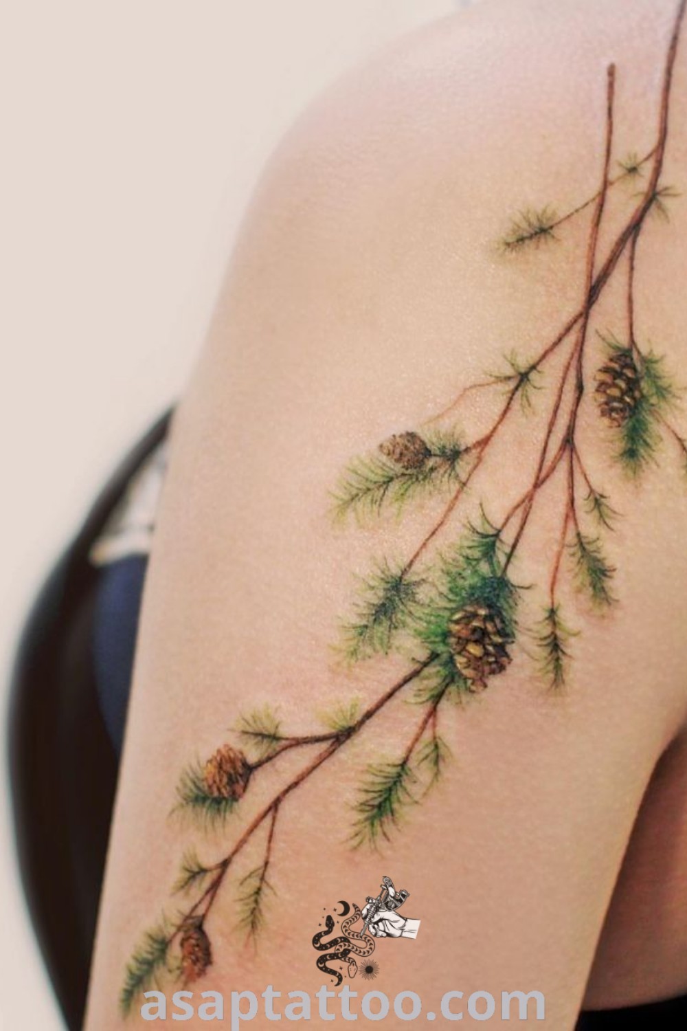 Inspiring tree tattoo ideas featuring amazing pine tree tattoos, matching tattoos for siblings, and elegant branch designs. Discover artistic and meaningful tattoos to decorate your body with nature at asaptattoo.com.