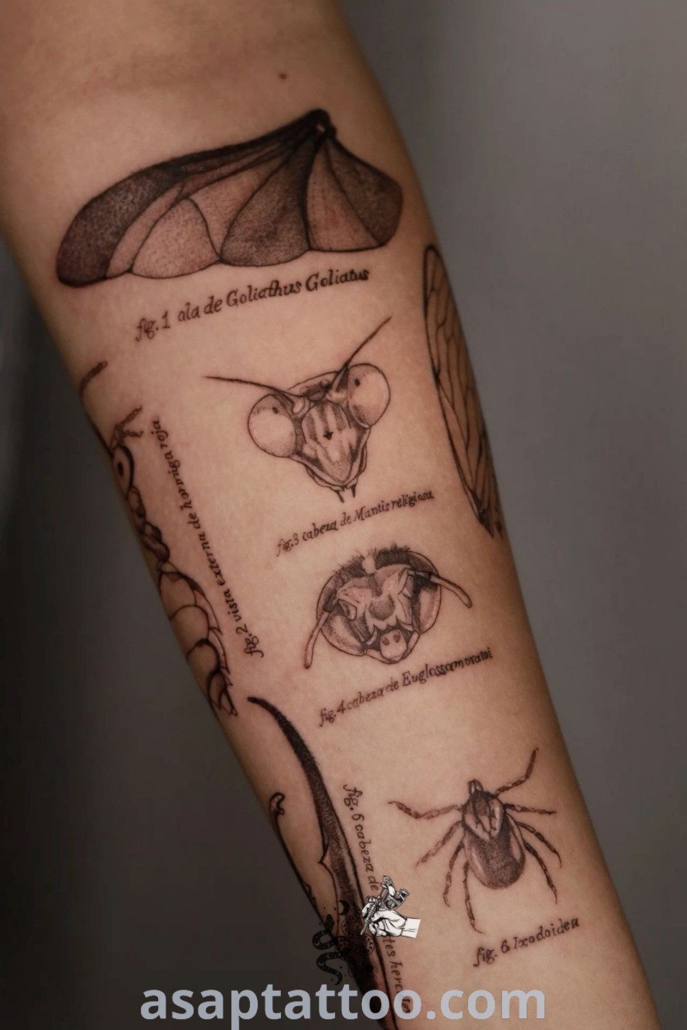Insect tattoo sleeve featuring various bugs in detailed designs, showcasing artistic body doodles. A must-see for tattoo lovers looking for inspiring leg sleeves. Discover gorgeous tattoos to decorate your body with at asaptattoo.com.