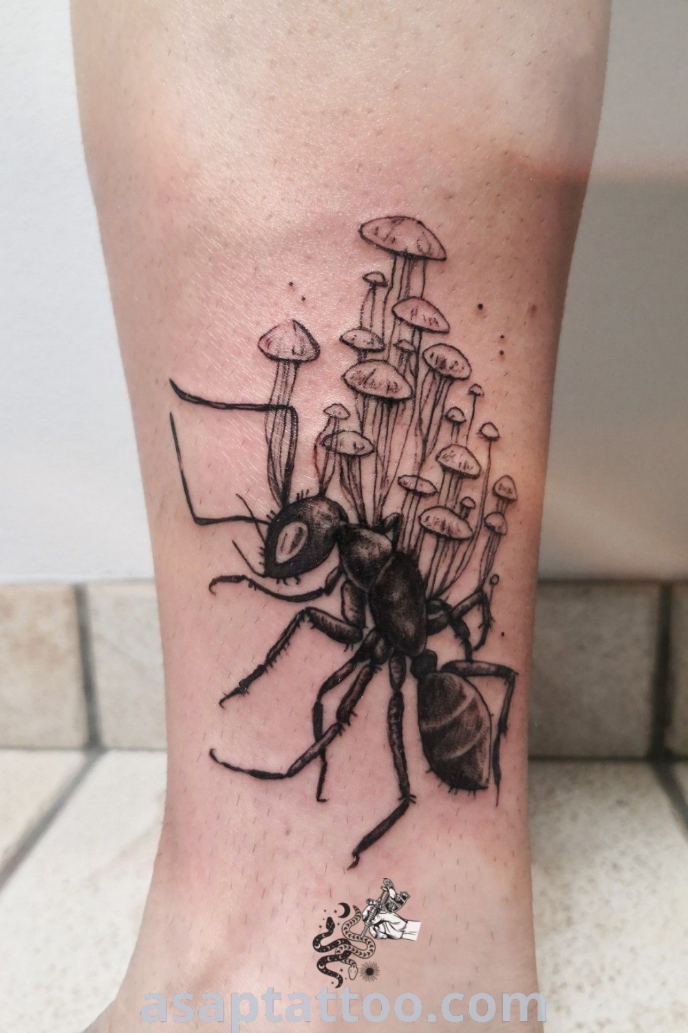 Black and white spider tattoo on a person
