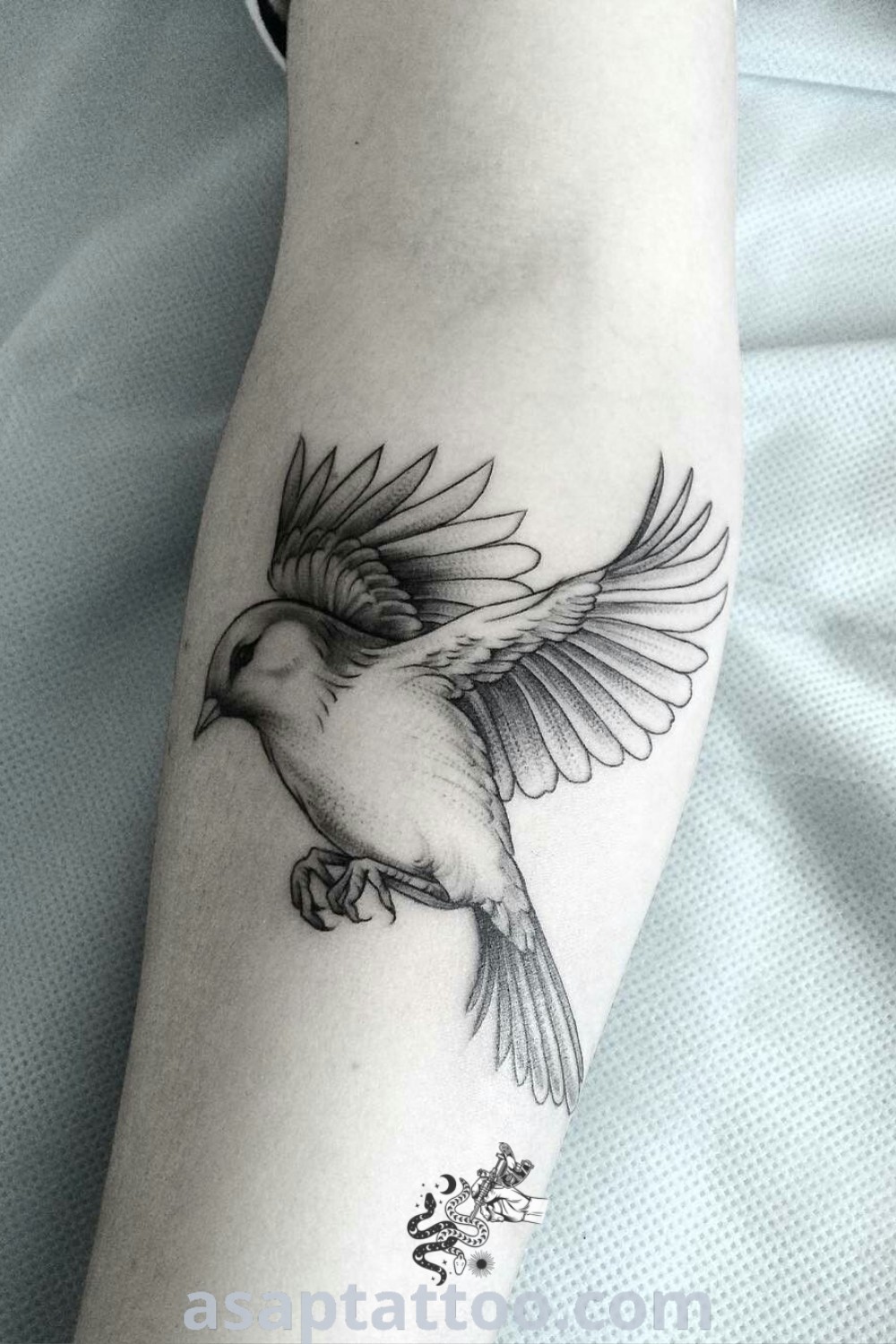 Small black and white bird tattoo on the right arm and leg, a chic and elegant design for women. Inspiring bird arm tattoo ideas for those seeking beautiful ink at asaptattoo.com.