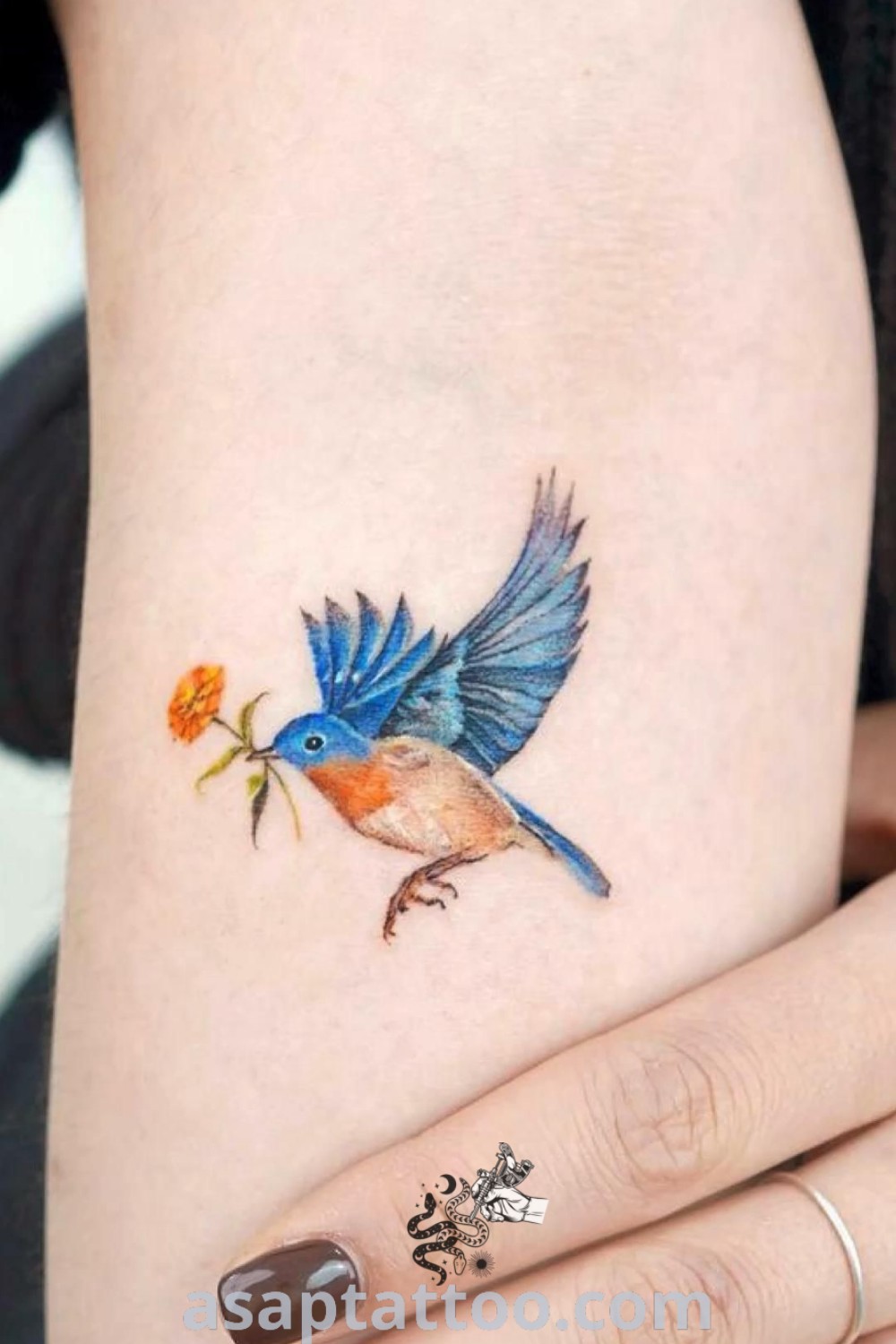 Elegant Eastern Bluebird tattoo design showcasing vibrant colors and watercolor effects. A must-see tattoo idea that symbolizes happiness, perfect for those exploring artistic body art. Discover more at asaptattoo.com.
