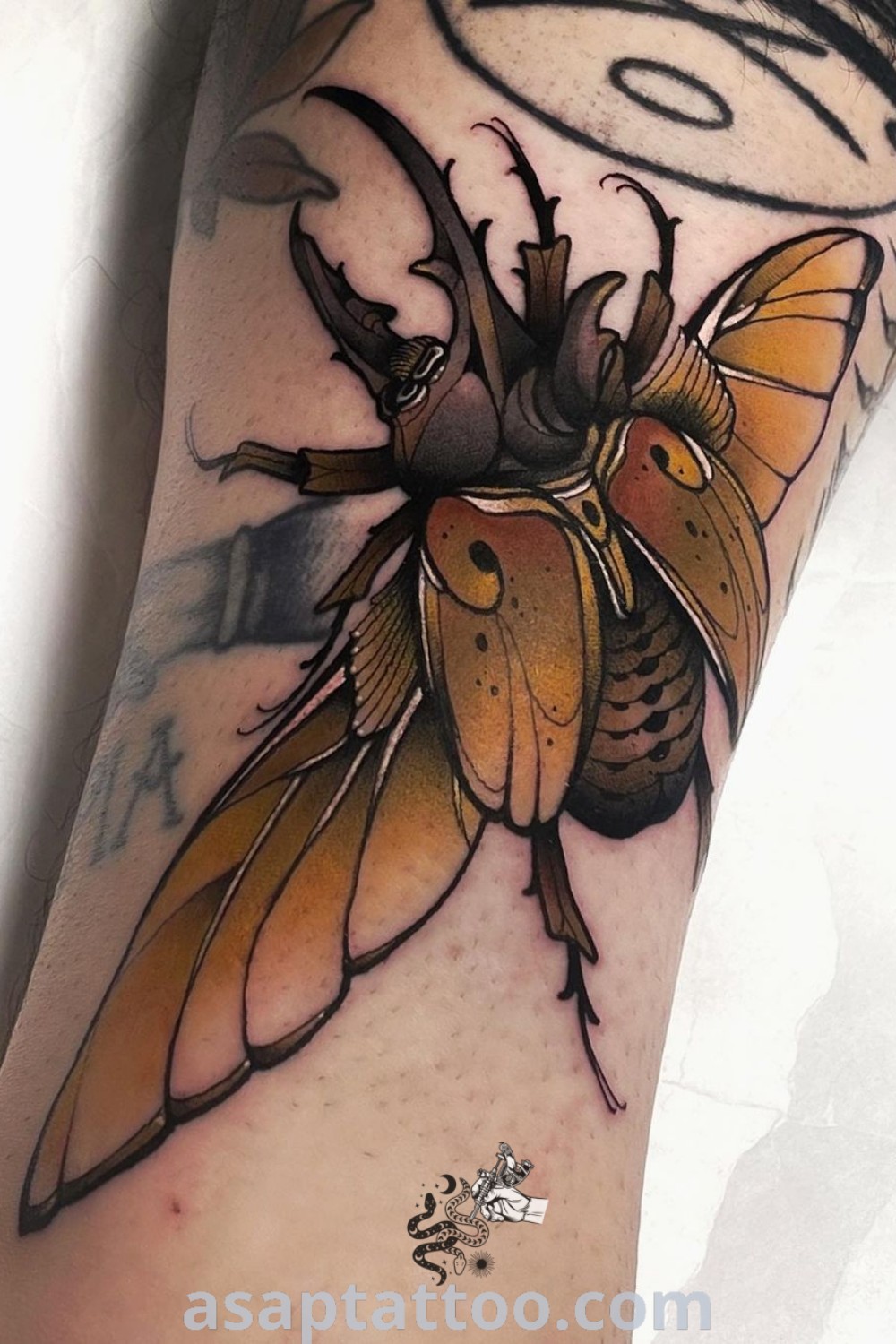 Close-up of a person