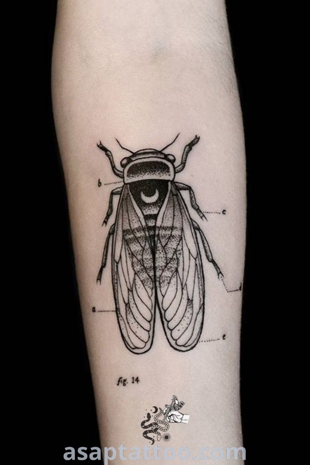 Black and white tattoo of a fly on the left inner arm with measurements. A stunning design for science tattoo enthusiasts that combines elegance and creativity. Explore more at asaptattoo.com.