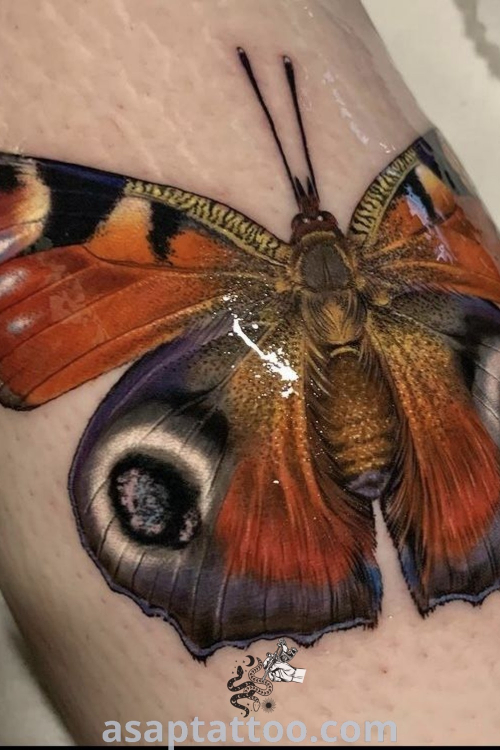 Colorful butterfly tattoo on the leg featuring neo-traditional flowers and elegant design elements. Discover inspiring butterfly tattoo placement ideas and more at asaptattoo.com.